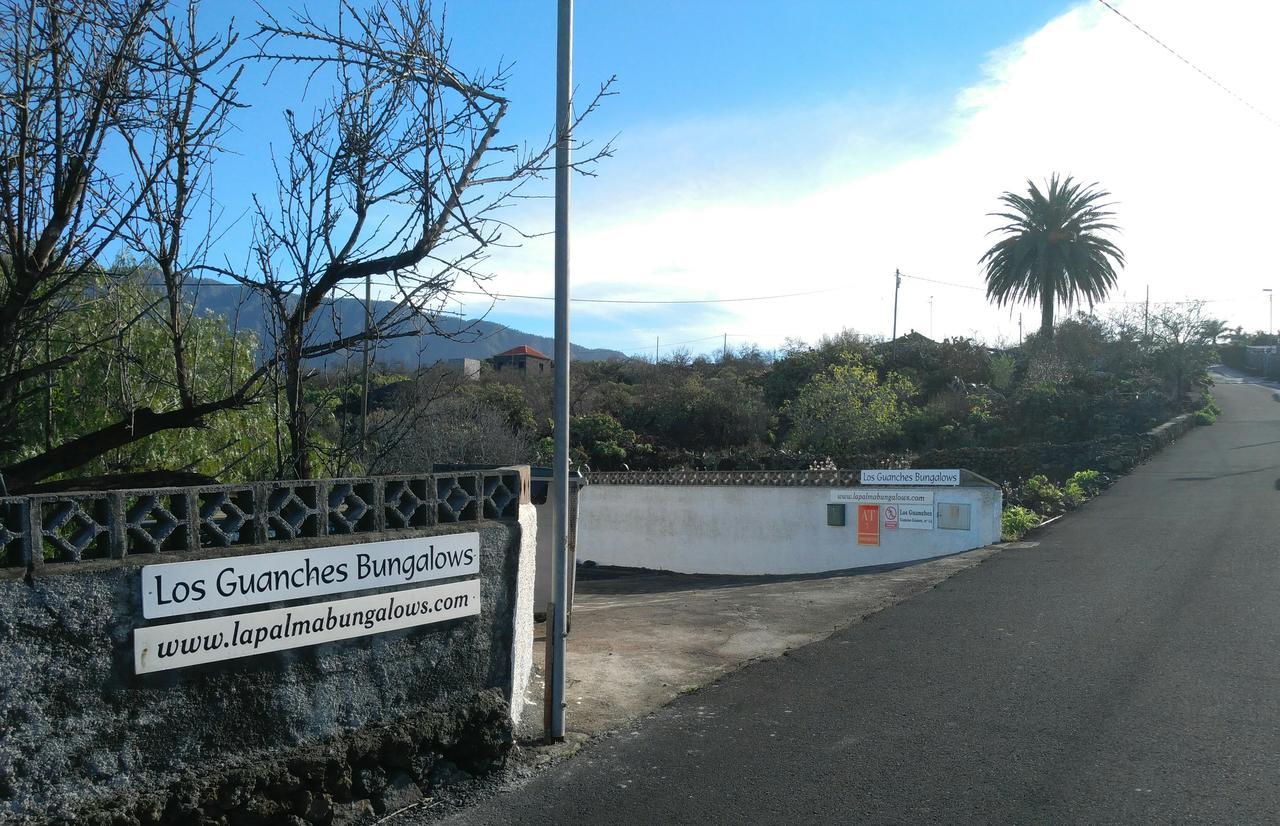 Los Guanches *