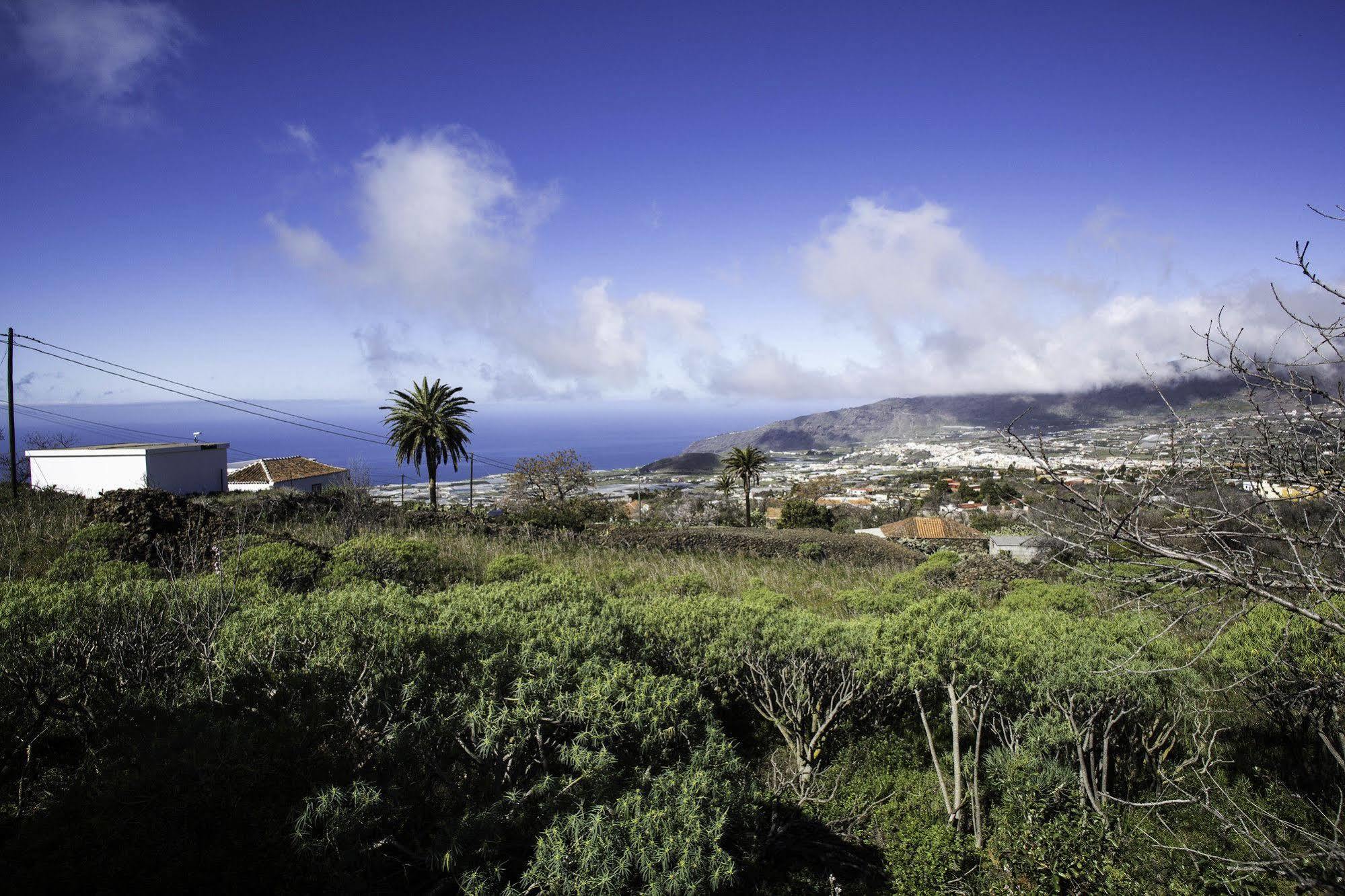 Los Guanches *